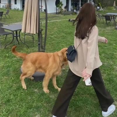 度假伙伴2